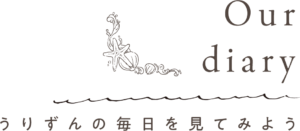 認定NPO法人うりずん
